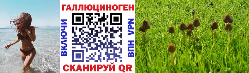 Галлюциногенные грибы ЛСД  где купить наркотик  Верхний Тагил 